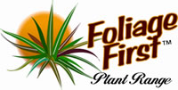 Ausplant Nursery licensed grower for Foliage First Plant Range